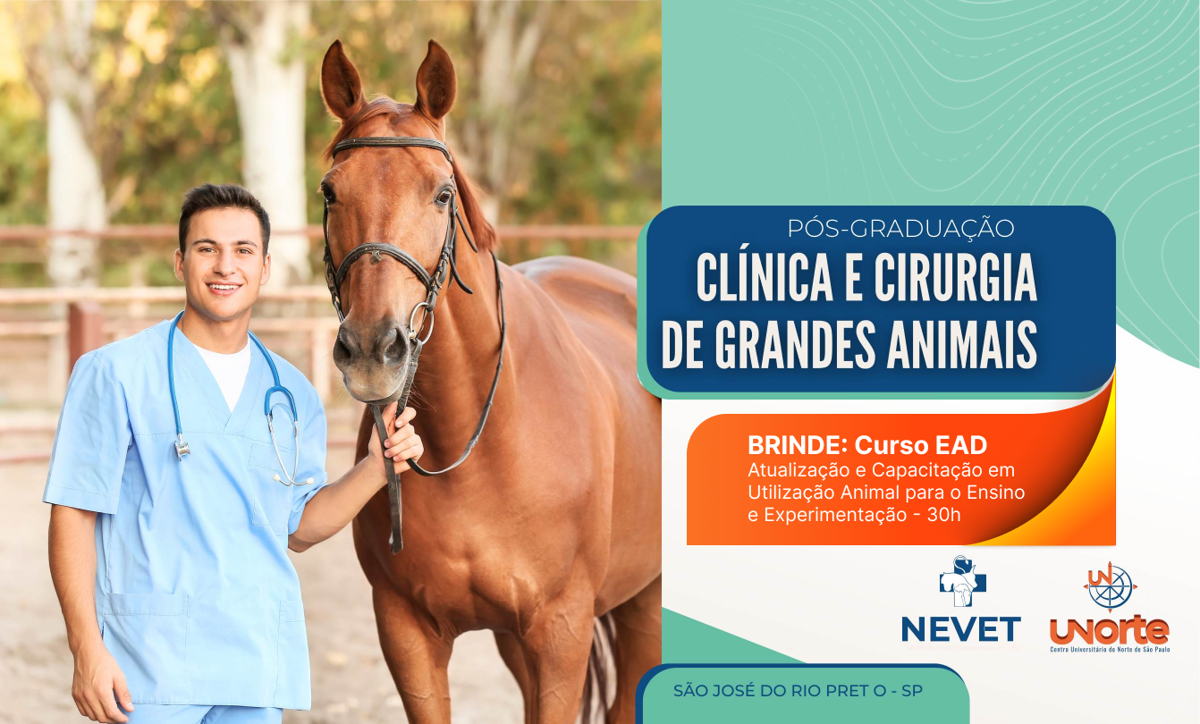 Curso